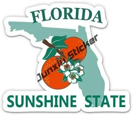 Creative Florida Flag Sticker  - Laptop Accessories Logo 评论和价格