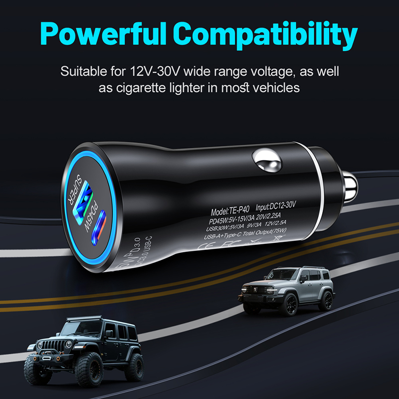 Dual Port 45W USB C Car Charge - Usb C Power Adapter 评论和价格